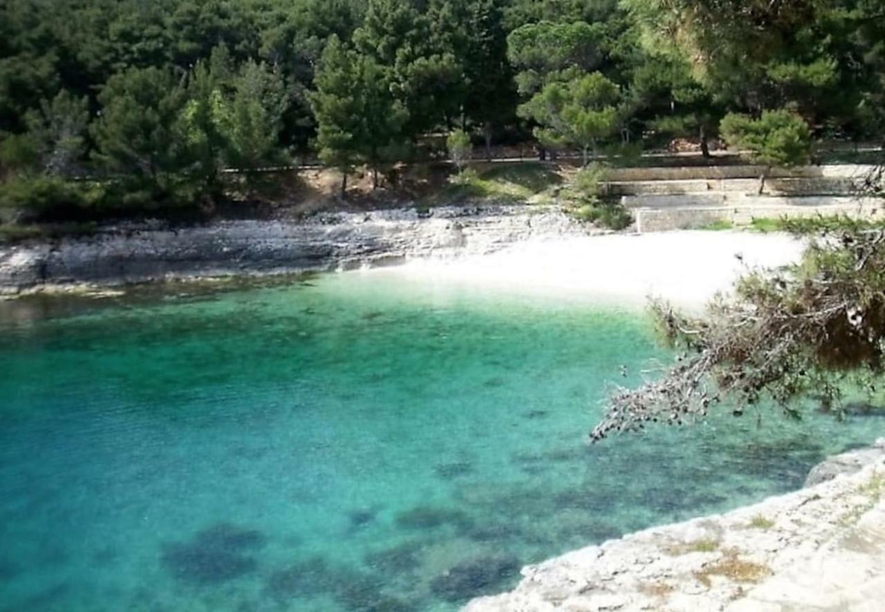 Zora Apartma Pula