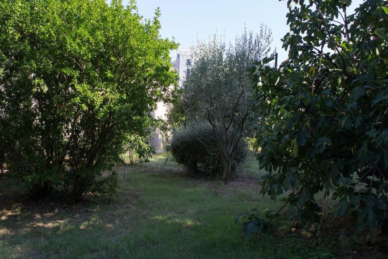 Apartma Zora
