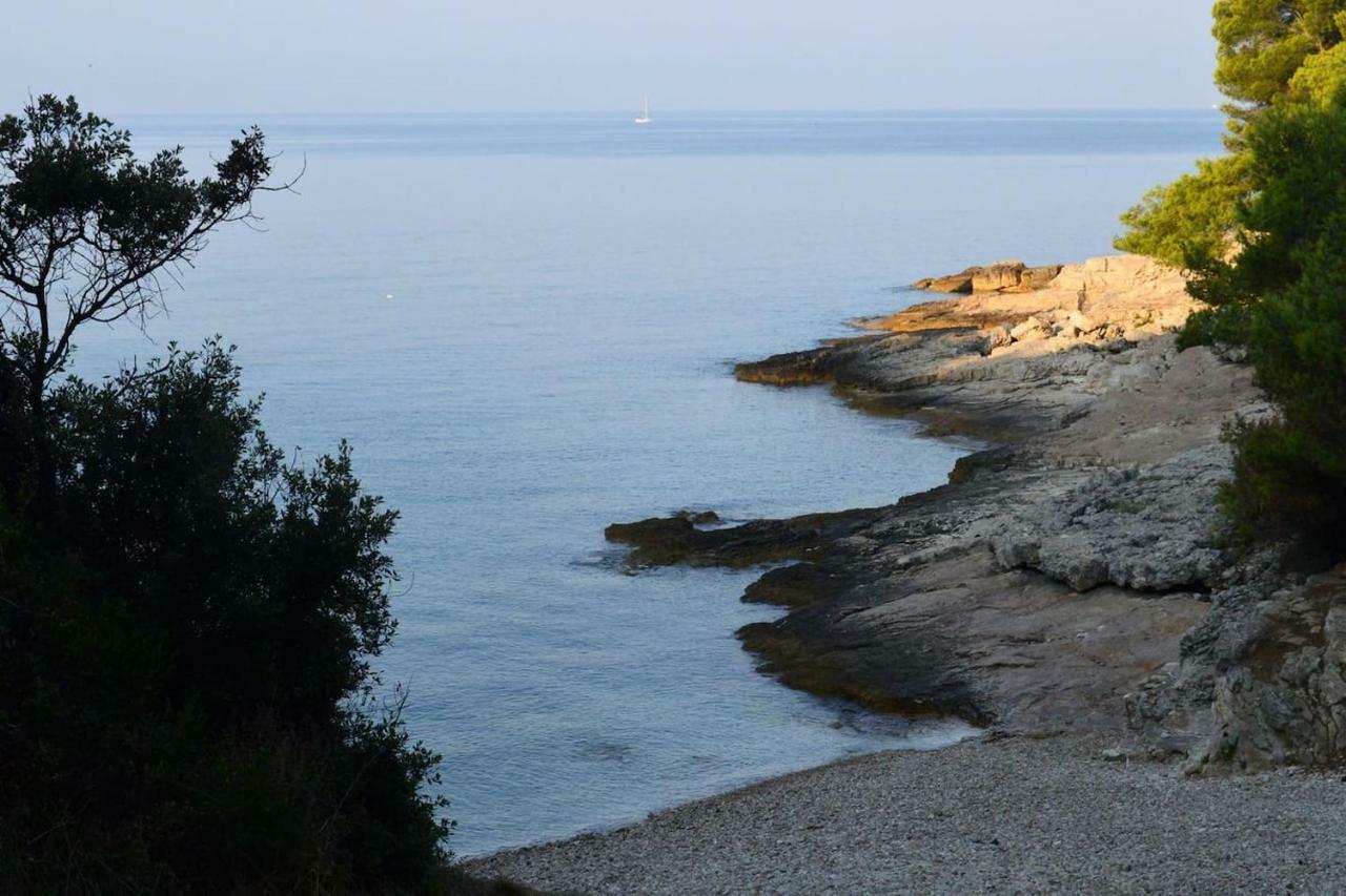 Apartma Zora Pula