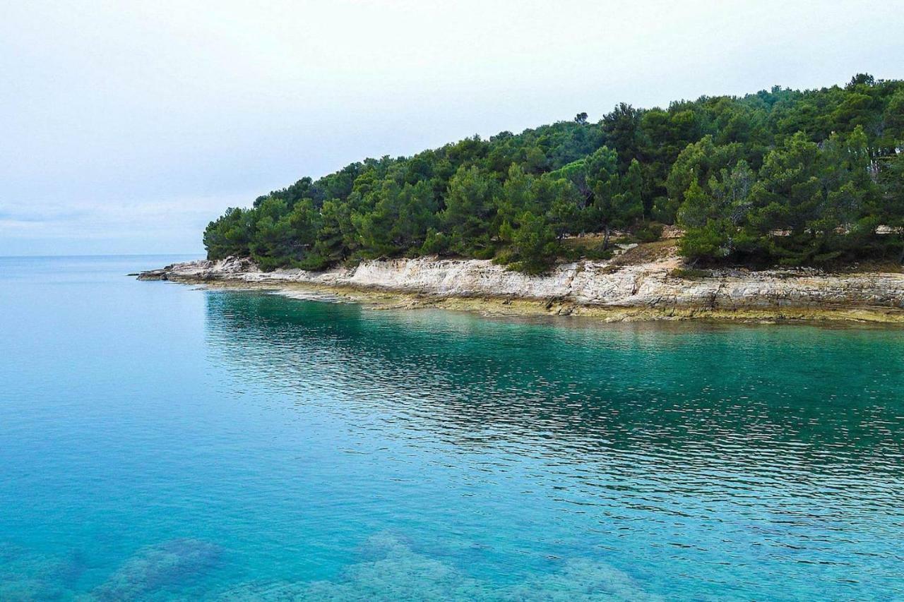 Zora Apartma Pula