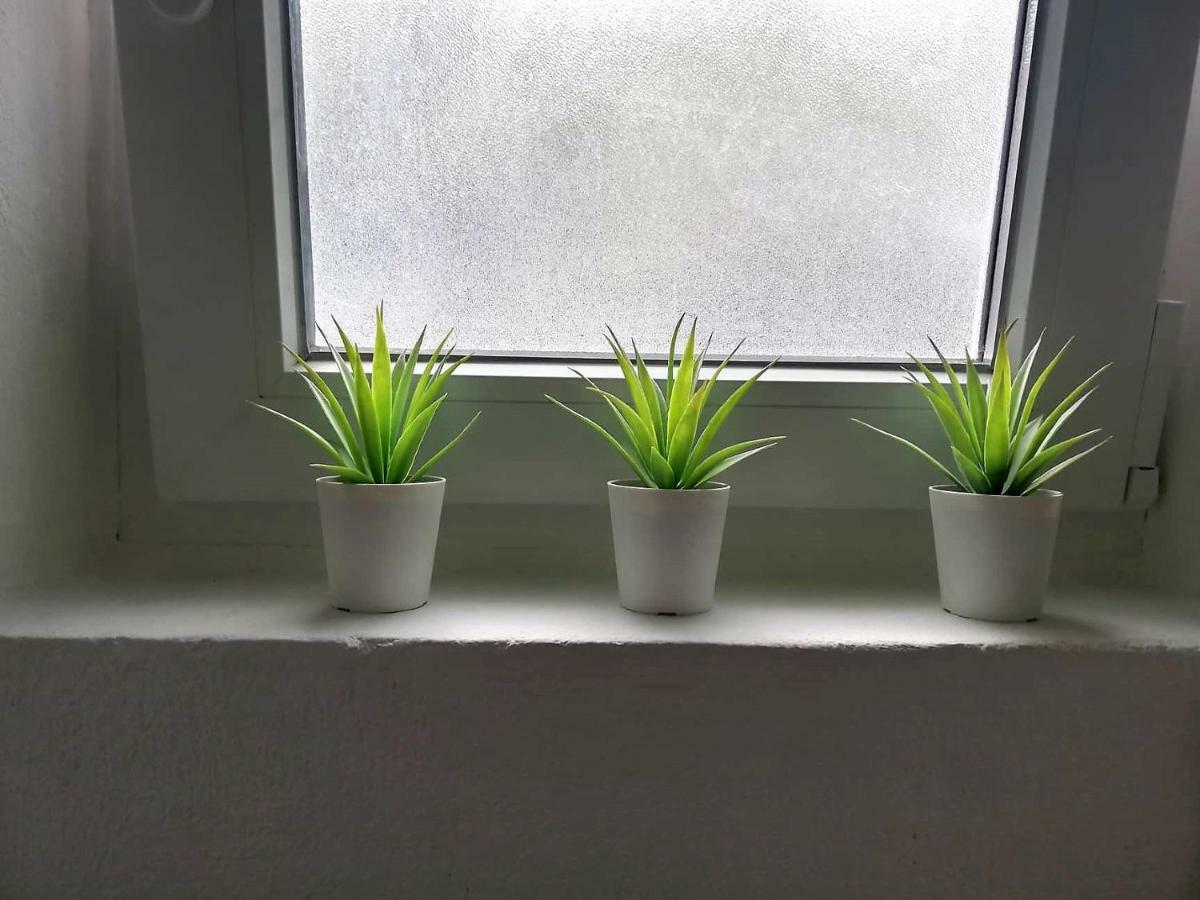Zora Apartma Pula